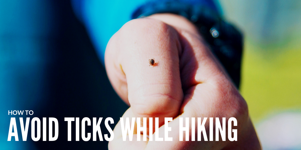 How To Prevent And Avoid Ticks While Hiking Expert Tips